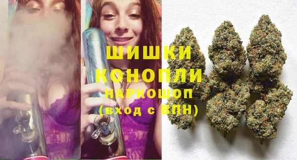 индика Заволжье