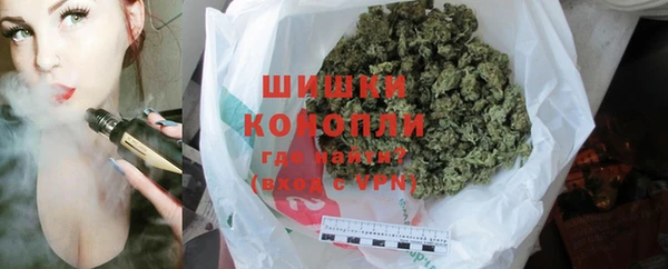 индика Заволжье