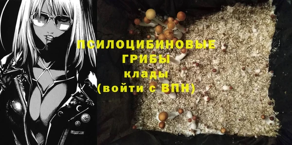 индика Заволжье