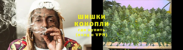 индика Заволжье