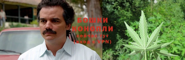 шишки Заволжск
