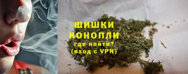 шишки Заволжск