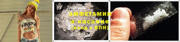 индика Заволжье