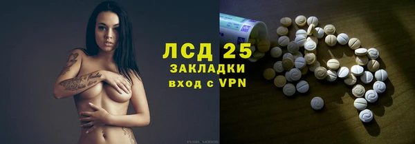 шишки Заволжск