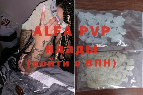 индика Заволжье