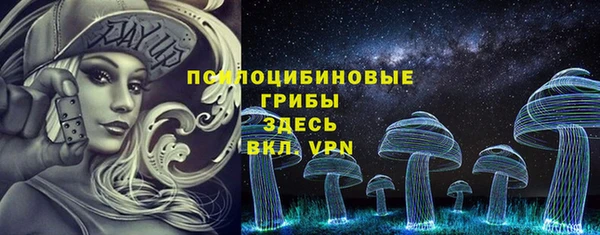 индика Заволжье
