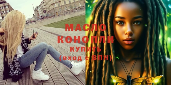 индика Заволжье