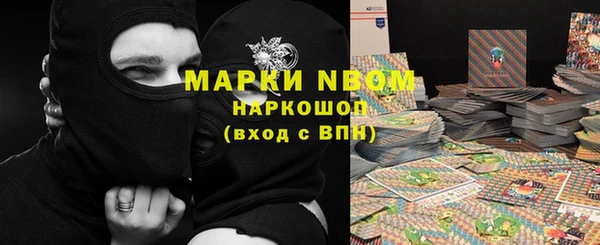 индика Заволжье