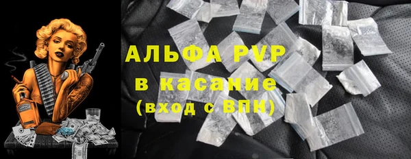 шишки Заволжск