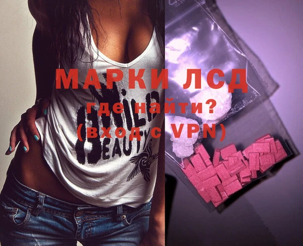 индика Заволжье