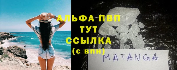 шишки Заволжск