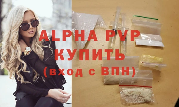 индика Заволжье