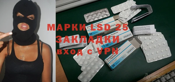 шишки Заволжск