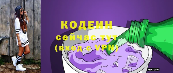 индика Заволжье