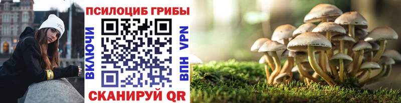 Псилоцибиновые грибы Magic Shrooms  Новодвинск 