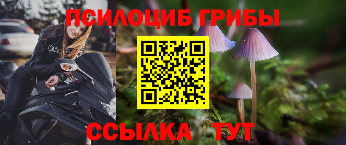 Галлюциногенные грибы ЛСД Новодвинск