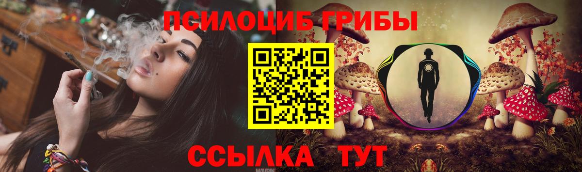 Галлюциногенные грибы Psilocybe  Вход с VPN  Галлюциногенные грибы MAGIC MUSHROOMS  Новодвинск 