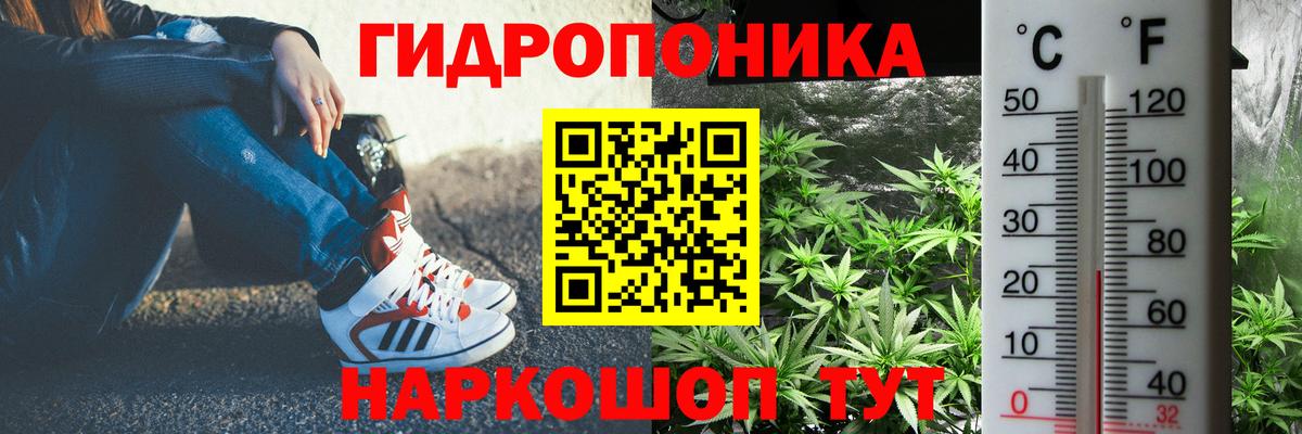 Канабис Ganja  Вход с VPN  Шишки марихуана THC 21%  Новодвинск  Канабис план 
