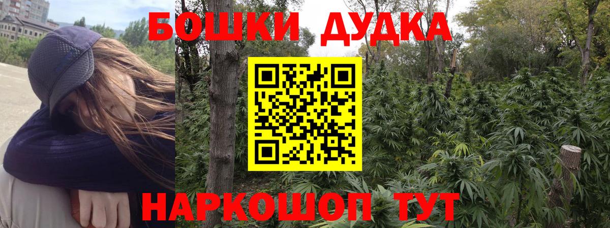 Конопля марихуана Новодвинск